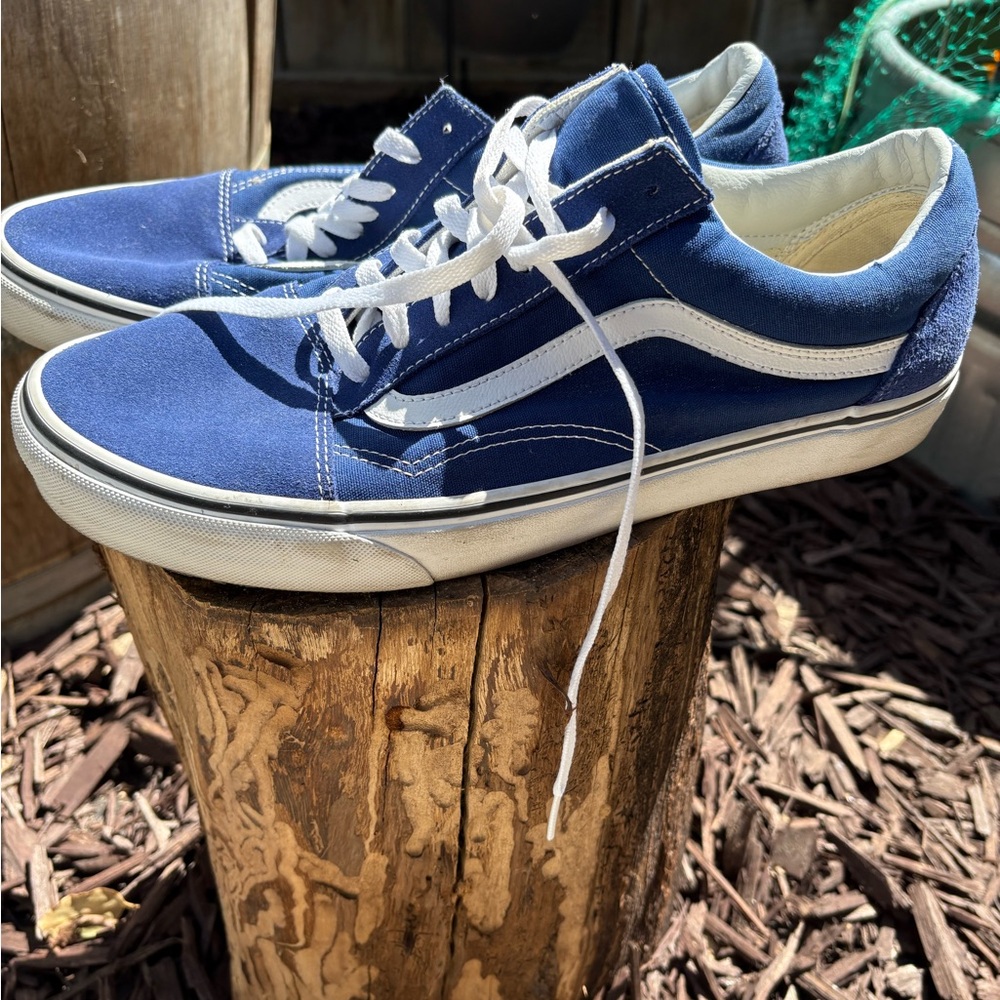 Vans Men's Blue and White Sneakers